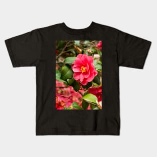 Red camellia flowers blooming in the garden Kids T-Shirt